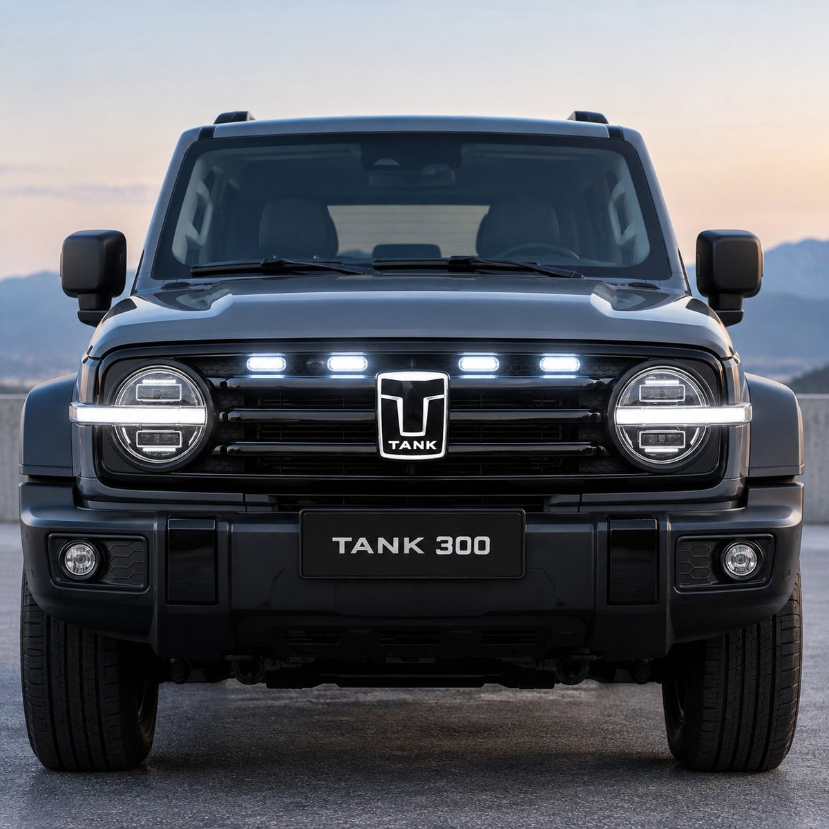 Great Wall TANK 300 Car Logo Sticker LED Light Streamer Grille Emblem Exterior Accessory